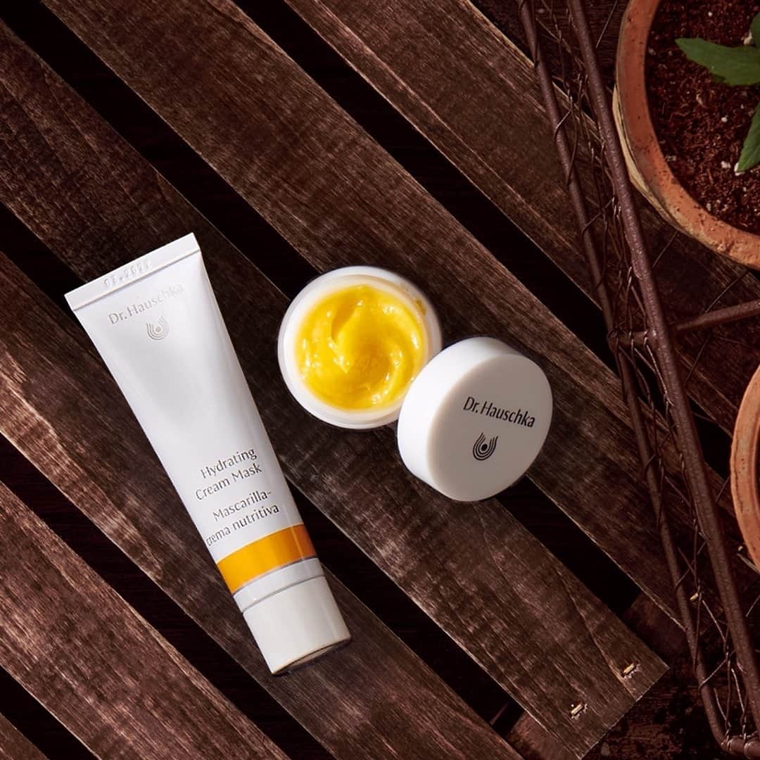 Dr. Hauschka Japan ドクターハウシュカのインスタグラム：「ミツロウたっぷりの、リップバームと⁠ ハイドレィティングマスクのご紹介です。⁠ .⁠ .⁠ 通常のリップケアとしても、お休み前の集中ケアとして唇に厚めに塗って唇パックにもおすすめ。翌朝はふっくらした唇に。⁠ .⁠ .⁠ 塗るタイプのマスクは、お肌の水分やうるおいなどの栄養を急速チャージできるイメージのフェイスパックです。アボカドオイルや天然のヒアルロン酸と呼ばれるクインスシードエキスでお肌の保水力やうるおいを整えてゆきます。⁠ .⁠ .⁠ #ドクターハウシュカ#Drハウシュカ#オーガニックコスメ#敏感肌#敏感肌スキンケア#敏感肌でも安心#敏感肌でも使える#敏感肌用#敏感肌コスメ#オーガニック#オーガニックコスメ好きな人と繋がりたい#オーガニック好きな人と繋がりたい#オーガニック化粧品#オーガニックスキンケア#オーガニック女子#オーガニックライフ#ナチュラルコスメ#ナチュラルな暮らし#丁寧な暮らし#スキンケア難民#スキンケア大事#スキンケア#スキンケア好きさんと繋がりたい#サステナブル#サステナブルライフ#サステナビリティ#フェイスパック#海外コスメ」