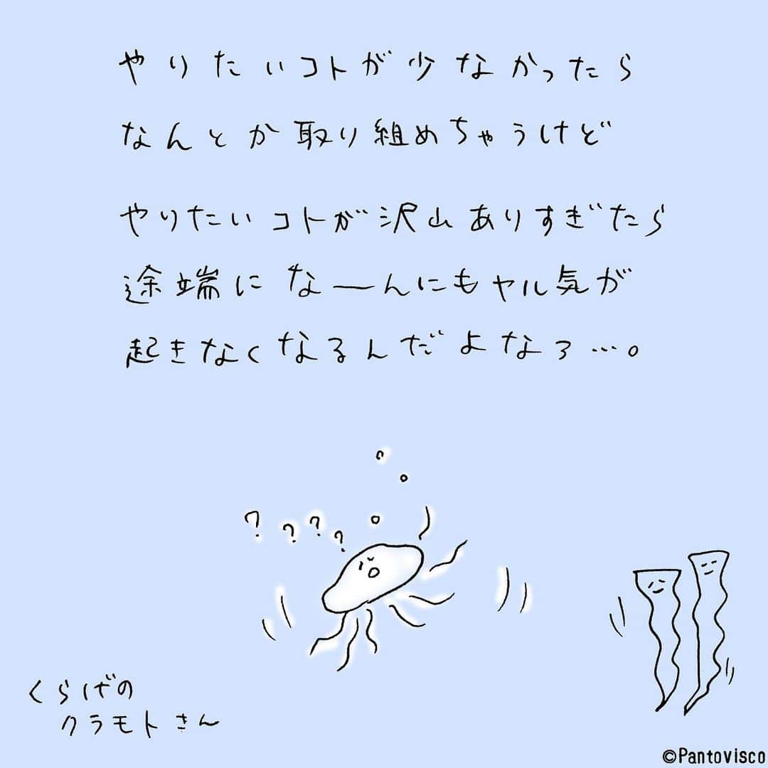 pantoviscoのインスタグラム
