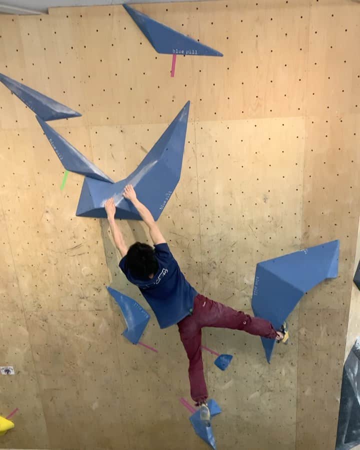 石松大晟のインスタグラム：「1DAY BOULDAAA初参戦🔥🔥🔥  @bluepillclimbing  #climbing #bouldering #climbingmovie #climbingmoves #boulderparkbasecamp #climbing_videos_of_instagram #bouldering_videos_of_instagram」