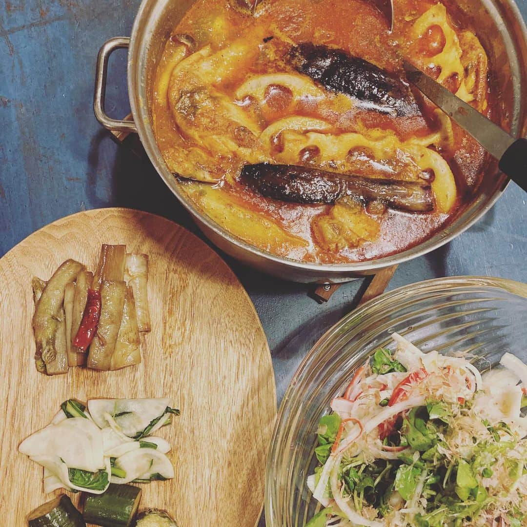 井上荒野のインスタグラム：「手羽先で何作ろうかなーと「今日の料理」を検索してみたら最初に出てきたのがスープカレー。うっすら参考にして作ったら大変おいしいものができた。この鍋2人で空っぽになった。こういう時の私は我ながらものすごくうるさく、食事中100回くらい「おいしいね！」と同意を求めてしまう。」