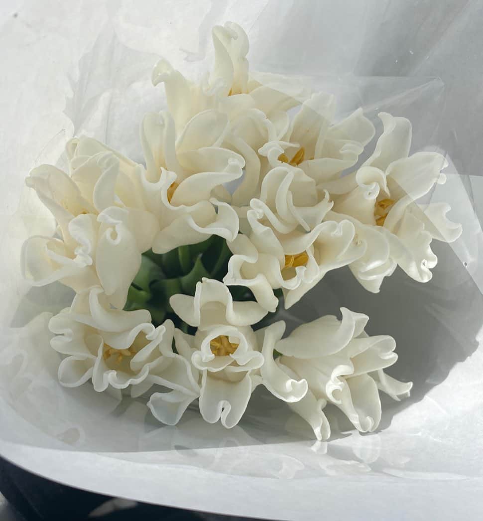 瀬奈ユウリのインスタグラム：「陶器みたいな高貴なお花🕊 ホワイトリバースターとゆうチューリップなんだって🌷 ストーリーでコメント多かったからフィードにもシェアするね！ほんと可愛い心満たされる☺️💖 . #whiteliberstar #tulip」