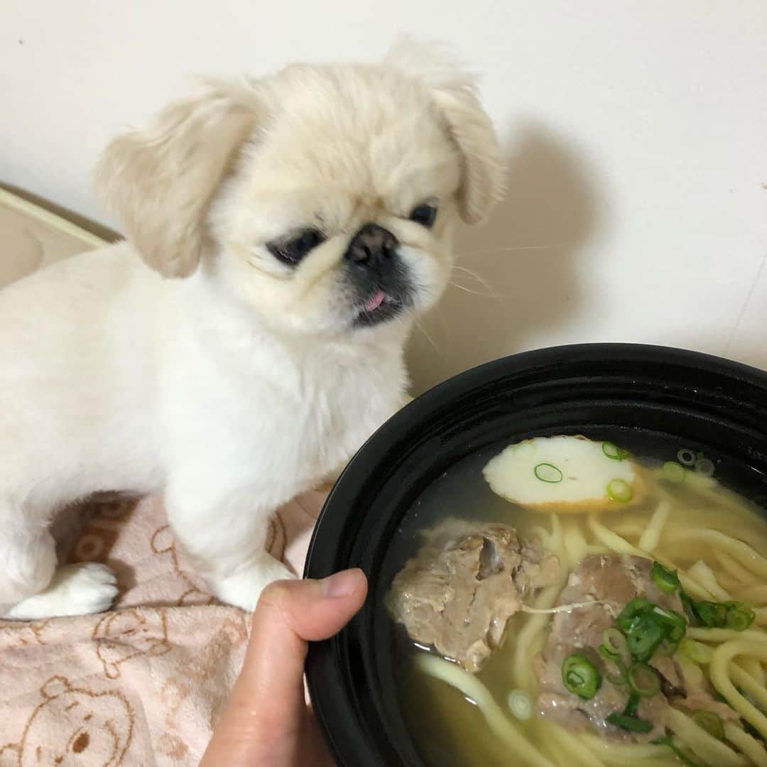 有田優理香のインスタグラム