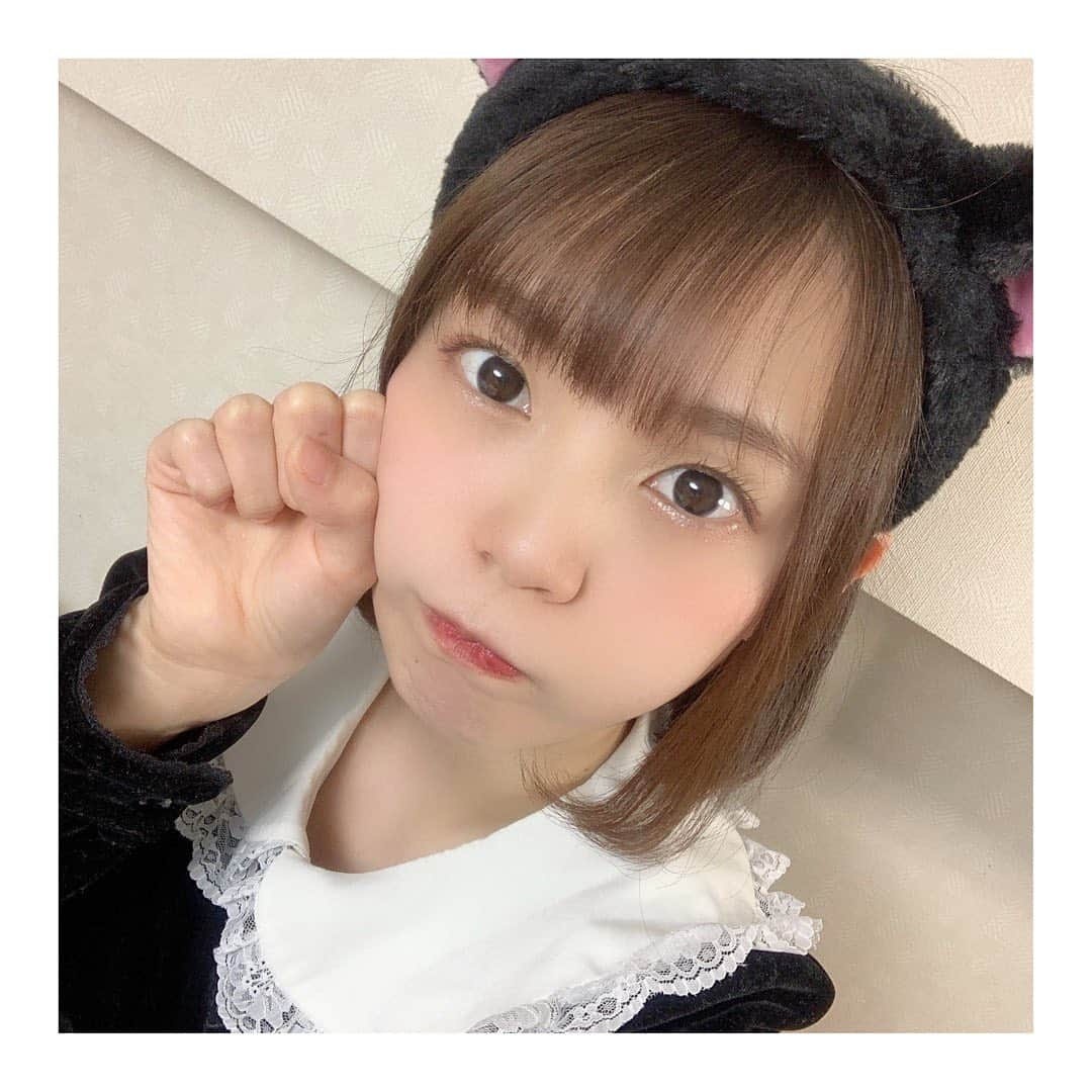 白石真菜さんのインスタグラム写真 - (白石真菜Instagram)「#猫の日 です！🐱 黒猫です！ #ラストアイドル #ラストアイドル2期生アンダー #白石真菜 #しーまな」2月24日 20時50分 - shiraishi_mana47