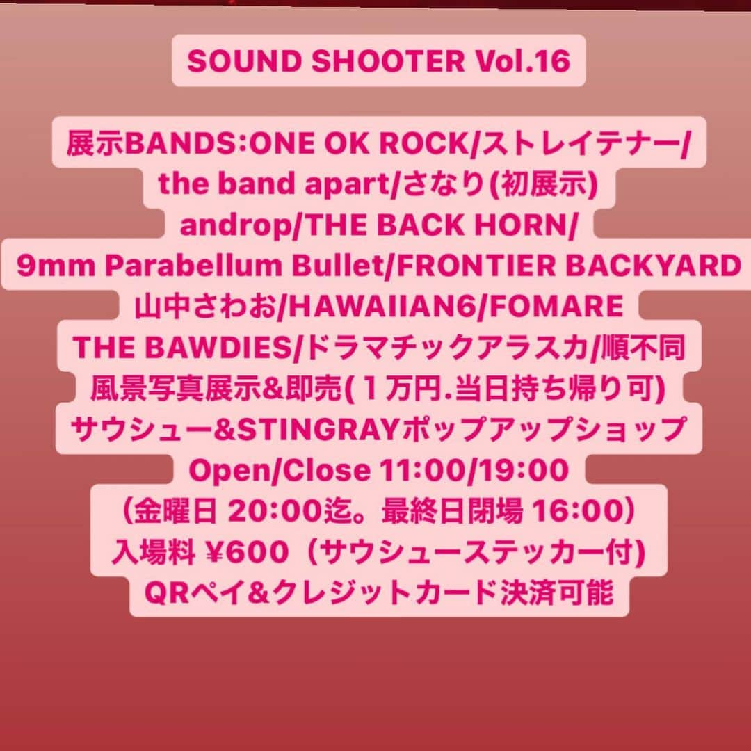 橋本塁さんのインスタグラム写真 - (橋本塁Instagram)「明日からのサウシュー写真展vol.16の初日大阪心斎橋ギャラリー大宝で搬入終了！明日から2日まで開催致します！心斎橋近所にお越しの際は是非！僕はずっと居ます！  SOUND SHOOTER Vol.16  展示BANDS:ONE OK ROCK/ストレイテナー/ the band apart/さなり(初展示) androp/THE BACK HORN/ 9mm Parabellum Bullet/FRONTIER BACKYARD 山中さわお/HAWAIIAN6/FOMARE THE BAWDIES/ドラマチックアラスカ/順不同  風景写真展示&即売(１万円.当日持ち帰り可)  サウシュー&STINGRAYポップアップショップ  心斎橋ギャラリー大宝 Open/Close 11:00/19:00 （金曜日 20:00迄。最終日閉場 16:00） 入場料 ¥600（サウシューステッカー付) QRペイ&クレジットカード決済可能」2月24日 21時03分 - ruihashimoto