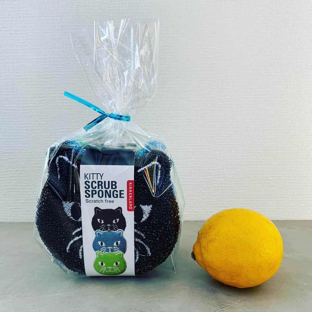 nocotoのインスタグラム：「新入りねこさんのスポンジセットはレモンと比べるとこの様な大きさとなっております。ご参考までに🍋  #catsponge #catitem #kitchen #kikkerland」