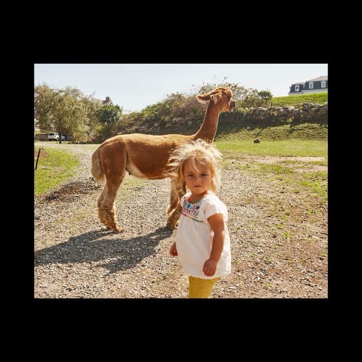 Airbnbのインスタグラム：「Photographer Cole set out for the New England coast for a weekend of surfing and llama spotting with his wife and two daughters – it was their first trip as a family of four. Superhosts François and Ashley (a father-daughter duo themselves) set the stage for a memorable stay at their cozy cottage in Narragansett, Rhode Island. The family then visited Host Rob’s seaside apartment in Provincetown, Massachusetts. This is just one of the millions of trips that take place on Airbnb, made possible by Hosts.」