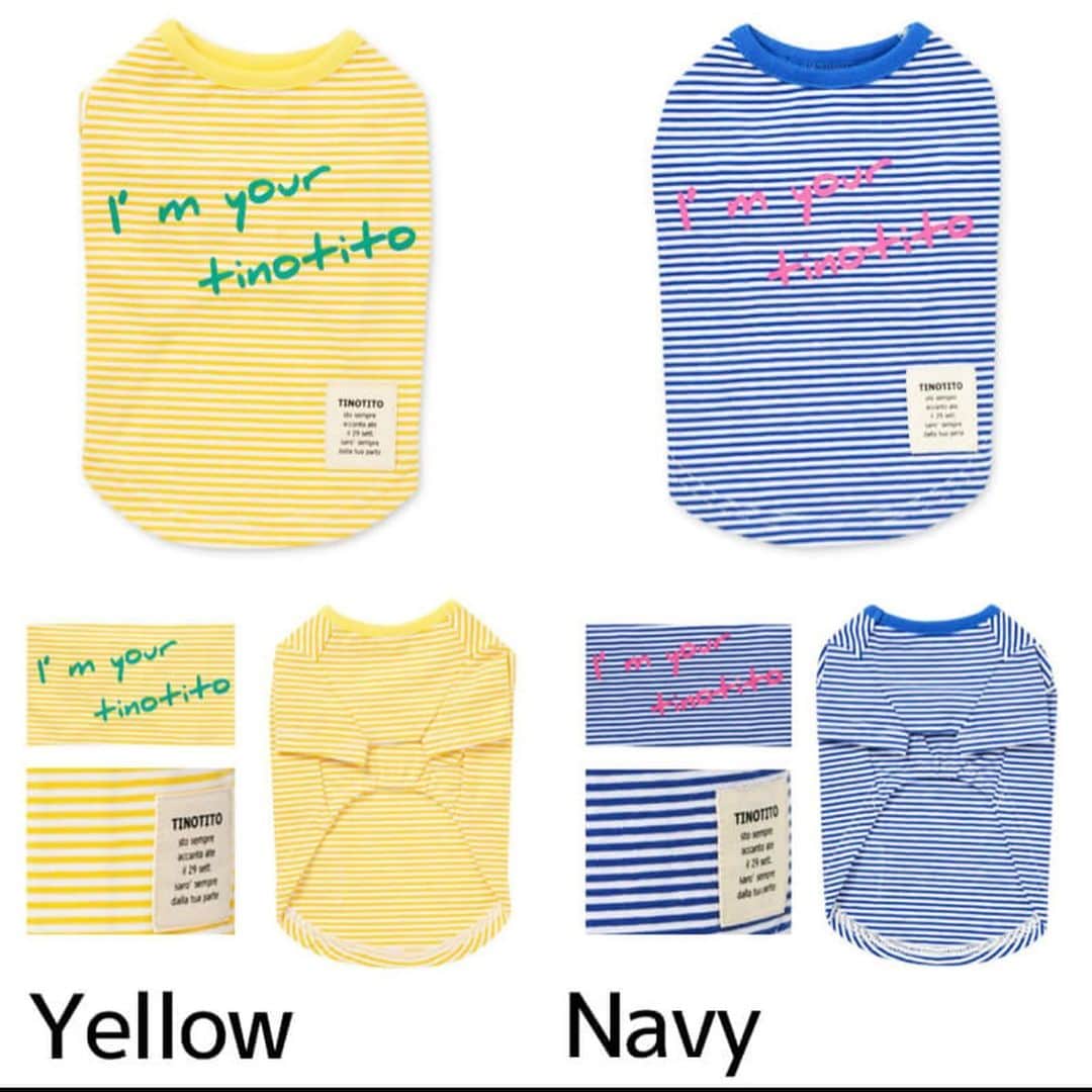 TINOTITO -ティノティート-さんのインスタグラム写真 - (TINOTITO -ティノティート-Instagram)「👏👏👏 本日より、春夏販売開始しました♪ . TTボーダーTシャツ size: xs〜XXL color: yellow / navy . wanvoyage(ワンボヤージュさん)にて TINO TITO 2021 SS collection を 販売しています。 . @wanvoyage_official のサイトをご覧ください♪ . モデルワンコ 1枚目 ももちゃん 2枚目 リンくん キサラちゃん .  #tinotito #ティノティート #犬の服 #犬服 #犬服 #犬 #犬バカ部 #ペット #ふわもこ部 #pet #dogwear #dog#petclothes #dogclothes #coordinate #outfit #fashion  #instafollow #l4l #dogstagram #instagood #cute #pretty  #follow #petoftheday #f4f #followme  #개스타그램 #멍스타그램 #狗衣服代購」2月24日 21時44分 - tinotito_shop