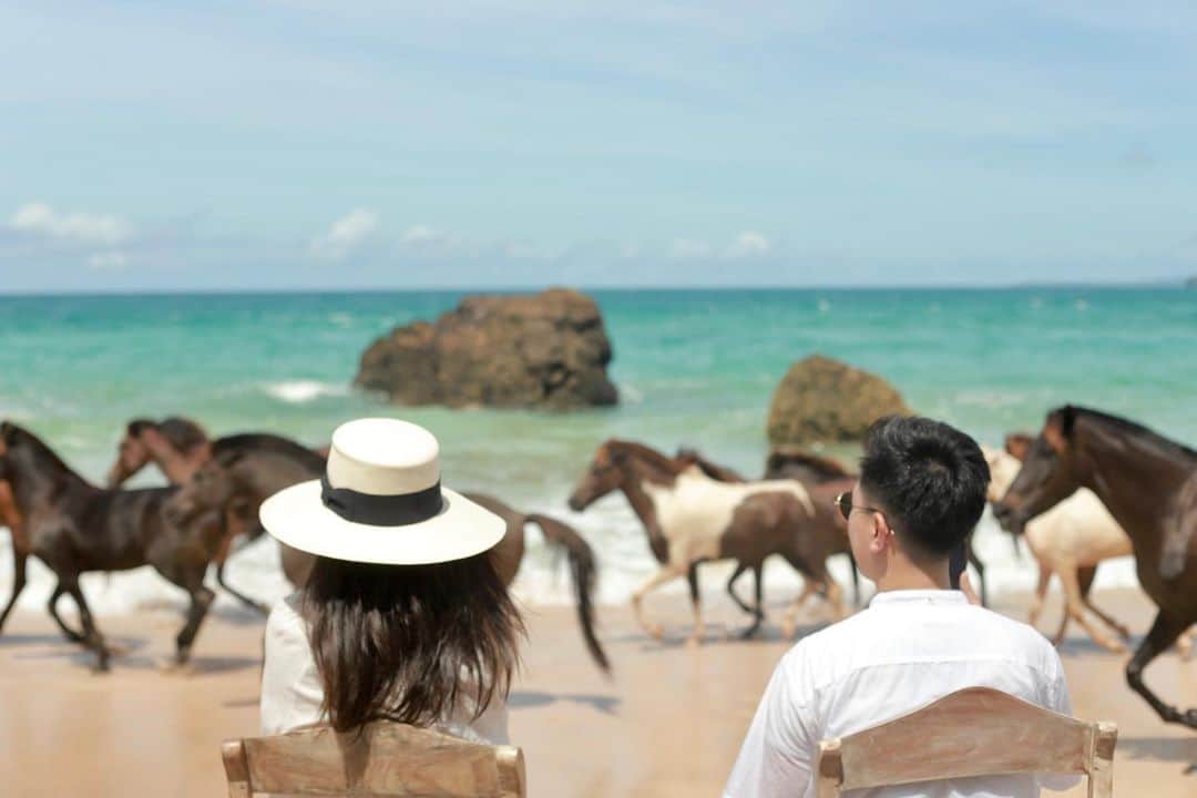 ラライン・シャーのインスタグラム：「Sumba, where horses run free and long stretches of white sandy beaches become their playground.  The horses are said the be the soul of the island—a cultural identity on its own that has existed since a long time ago—, deeply entwined in the local ancient beliefs and timeless traditions.  Often described described as Njapu Numa Nhara, Njapa Taki Tamo—the Untamed Noble, the horses aren’t merely a means of transportation but also believed to be the vehicle of life that can’t be separated from the Sumbanese funeral ceremony. Horse slaughter, a tribute to the deceased owner of the animal during their lifetime (mostly of noble houses), depicts the spirit of the dead riding it heading into the afterlife.  Aside from being a symbol of social status, serving as a dowry for marriage and other purposes, perhaps the most exciting horse tradition comes on every February: the Pasola Festival, the Sumbanese traditional spear-fighting tournament.  Though these days the jousting festival is merely symbolic—mock battle vs actual bloody battle, this traditional sport still brings together dozens of riders (saddleless and riding bareback) throwing (now blunt) spears to each other to unseat and hurt their opponents. Pasola was once considered a success only if a lot of blood has been shed, fertilizing the soil and ensuring a successful rice harvest of the year. (In days gone by, it was even regarded as an honor to die during the Pasola!)   Sad that this February they decided to delay the festival due to the current pandemic situation. Another reason to return to Sumba next year!❤️」