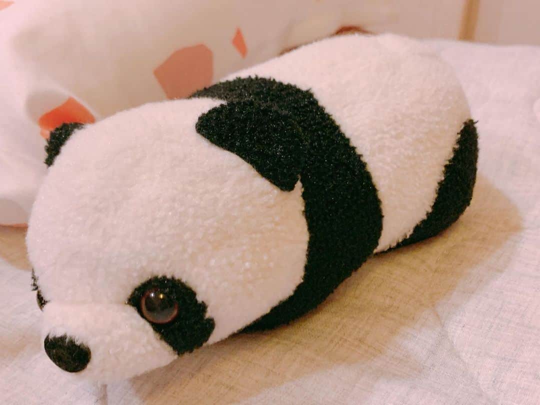 のインスタグラム：「🐼🐾 ･ ･ ･ #妹が #いつも #だっこ #して #寝てる  #結構昔からある #かわいい #癒し」