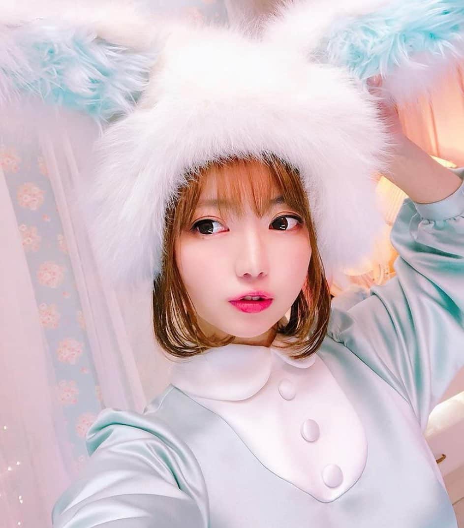 双木昭夫のインスタグラム：「もふもふウサギ」