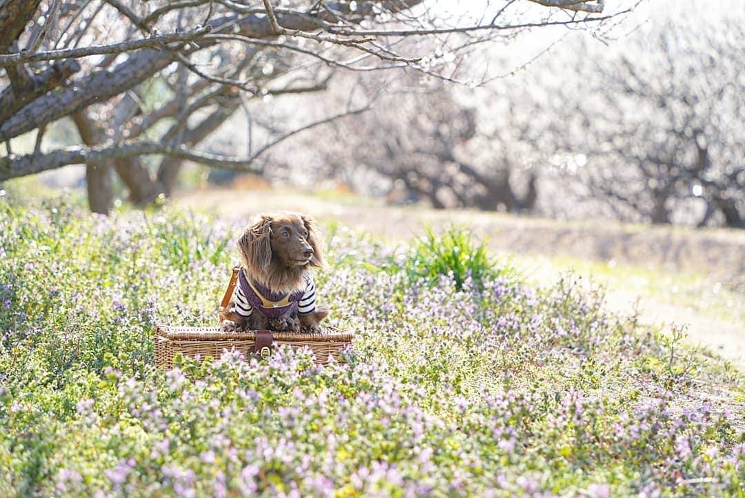 etsukoのインスタグラム