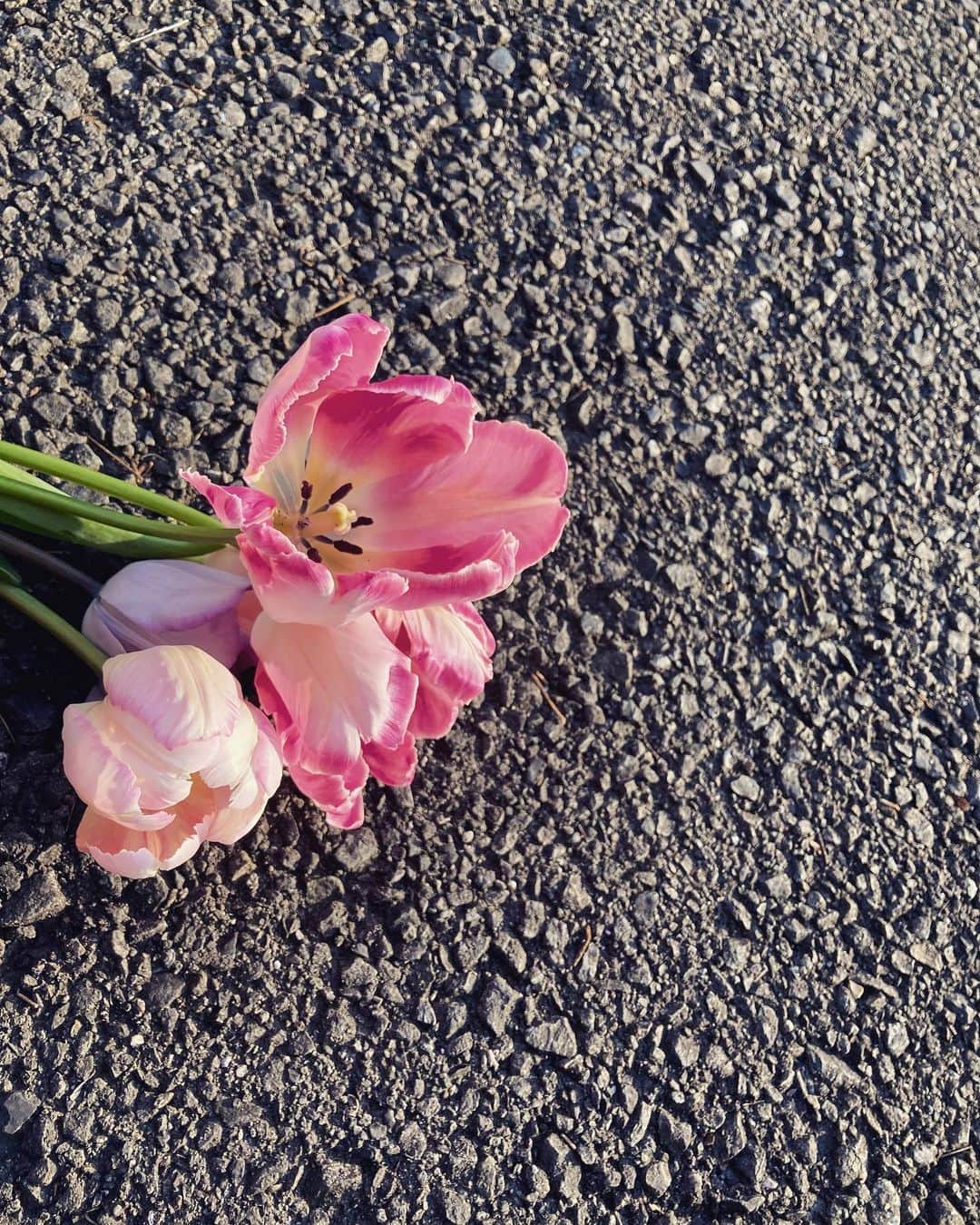 藤木由貴さんのインスタグラム写真 - (藤木由貴Instagram)「今を。#oneday #time #love」2月24日 22時29分 - yuki.grm