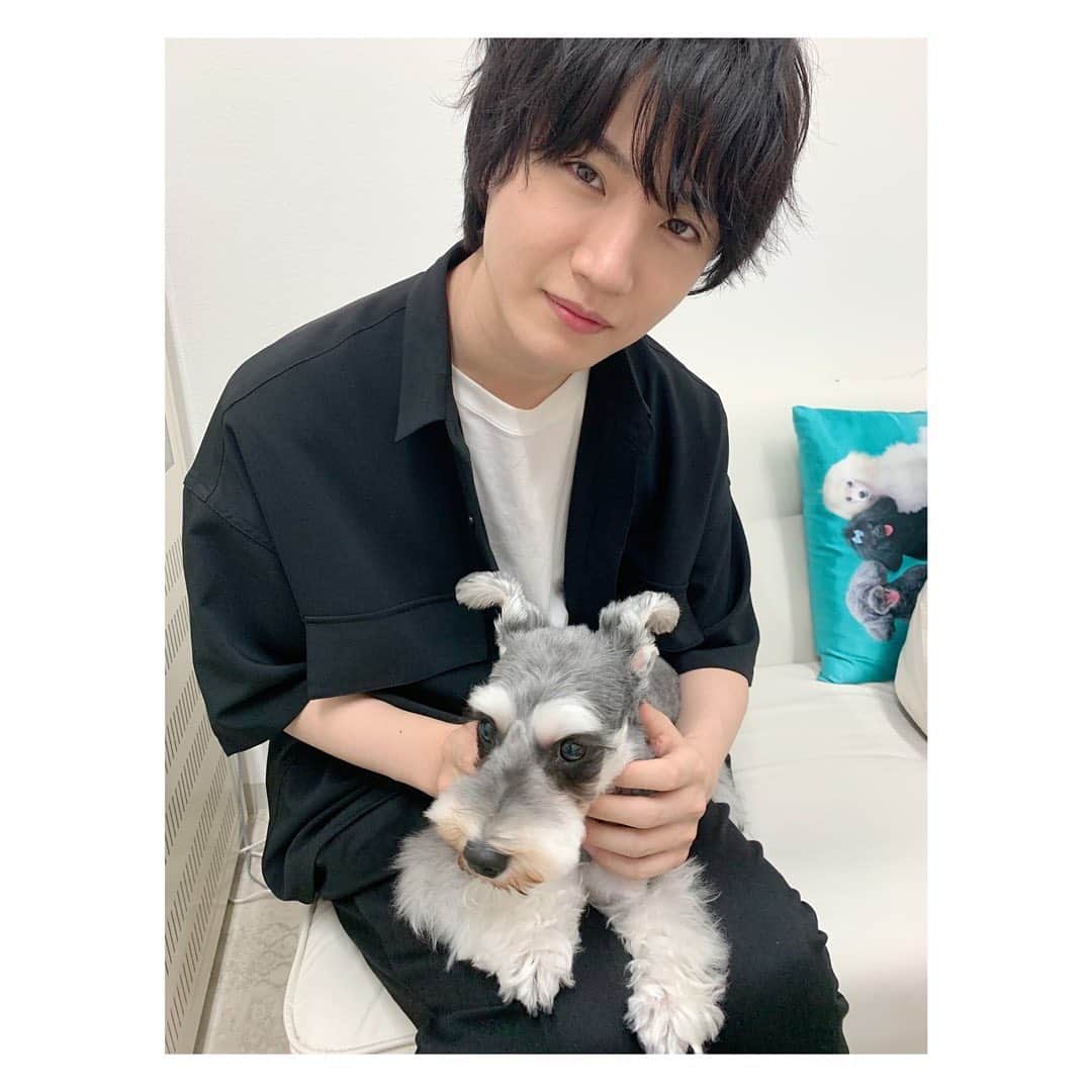 のインスタグラム：「🐶  可愛いわんちゃんと美男美女😳💓🤍  第7話 大好評見逃し配信中❤︎  第8話 ❤︎#ABCテレビ (関西) 2月28日(日)よる11時25分～ ❤︎#テレビ朝日 (関東) 2月27日(土)深夜2時30分～  #3Bの恋人 #桜田通 #八木アリサ」