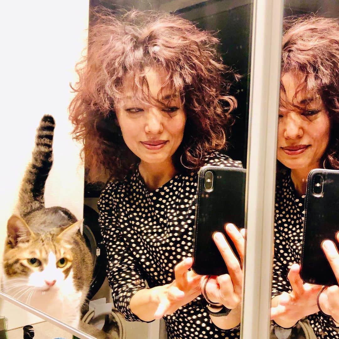 池田有希子のインスタグラム：「新しいヘアスタイルがお気に入り過ぎて何度も鏡見るし触る！美容師さんに感謝です！！  #curlyhair #newhairstyle #ilovemynewhair」