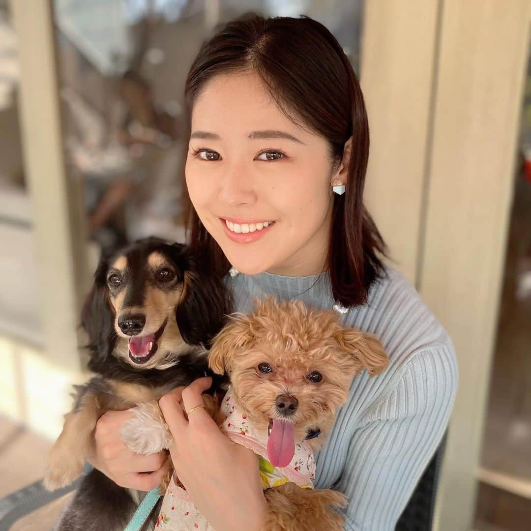 小日向えりのインスタグラム：「やっと、きな粉と小麦と3ショット撮れた🐶🐶🍎  最近お気に入りのわんこと行けるテラス席❤️  かわいいきな粉と小麦の写真☺️  毎日仕事も遊びも楽しいしきな粉と小麦かわいいし幸せだなぁって思う☺️」