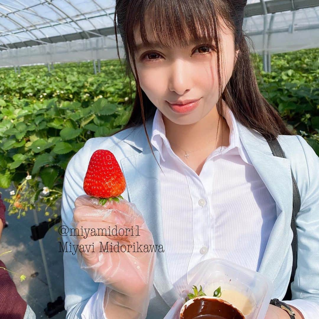 緑川みやびさんのインスタグラム写真 - (緑川みやびInstagram)「🍓💋🍓💋🍓💋🍓  いちご美味しいね！  あれあれ？ 君のあこそにも練乳がついてるよ？  #av女優  #女優　 #グリッド投稿  #アダルト  #adult  #セクシー  #ファッション　 #緑川みやび  #ファビュラス  #グラマラス  #fashion  #fabulous  #sexy #dress #ポートレート  #お洒落さんと繋がりたい  #instagood  #instalike  #like4like  #followme  #ファッション  #ootd  #beauty #instabeauty  #instafashion  #model  #style  #focus  #color  #art」2月24日 23時47分 - miyamidori1