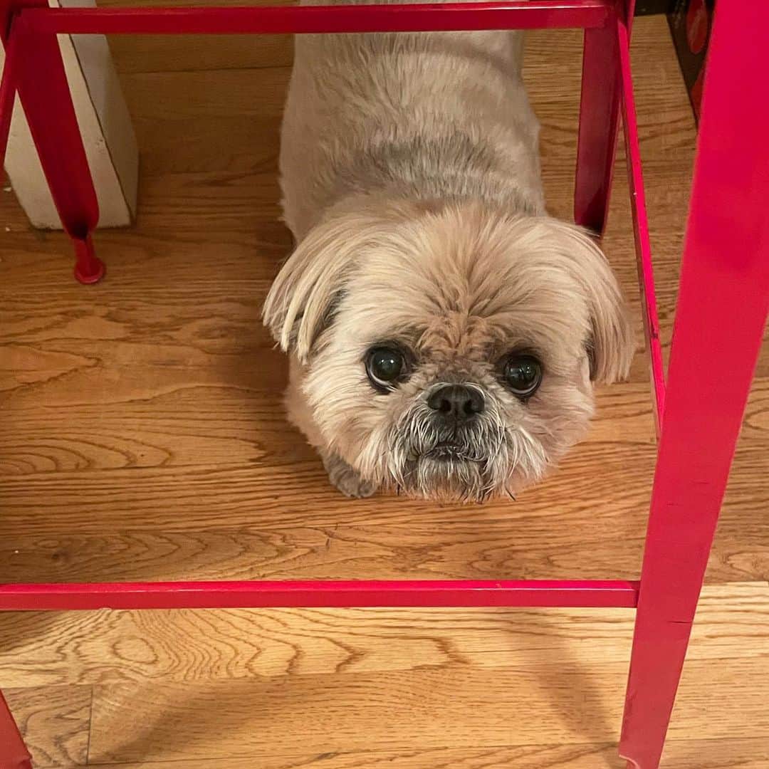 のインスタグラム：「Framed.」