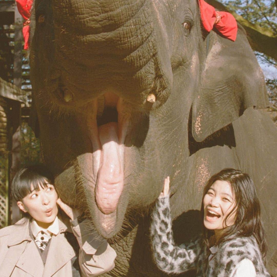 Perkmagazineのインスタグラム
