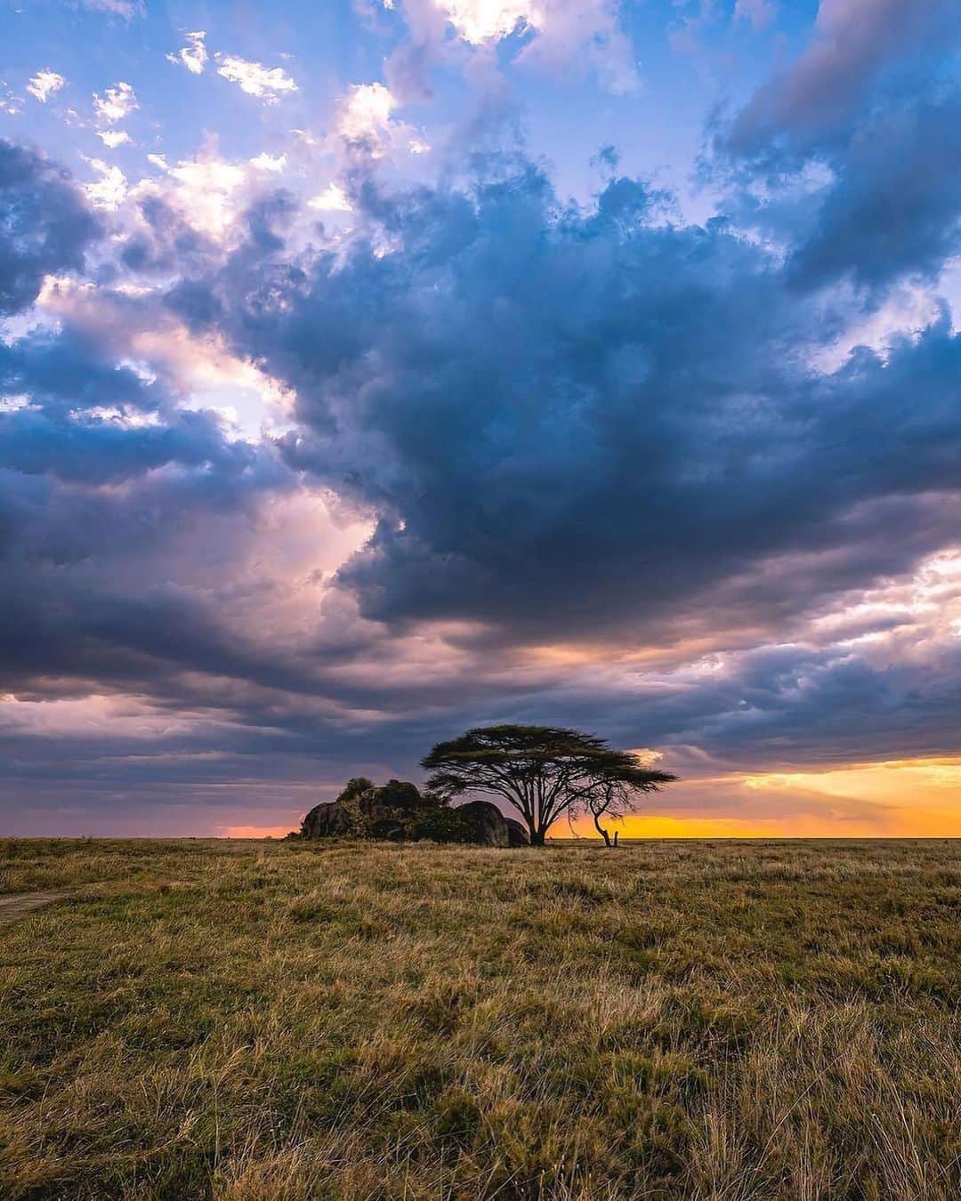 Canon Photographyさんのインスタグラム写真 - (Canon PhotographyInstagram)「Sunsets in Tanzania 🌅 Photography // @agpfoto Curated by @steffeneisenacher  #tanzania #africa #lion #wildlife #safari #sunsetphotography」2月25日 1時01分 - cpcollectives