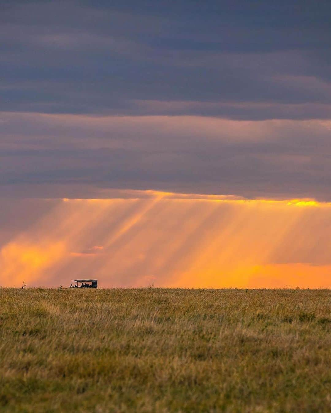 Canon Photographyさんのインスタグラム写真 - (Canon PhotographyInstagram)「Sunsets in Tanzania 🌅 Photography // @agpfoto Curated by @steffeneisenacher  #tanzania #africa #lion #wildlife #safari #sunsetphotography」2月25日 1時01分 - cpcollectives