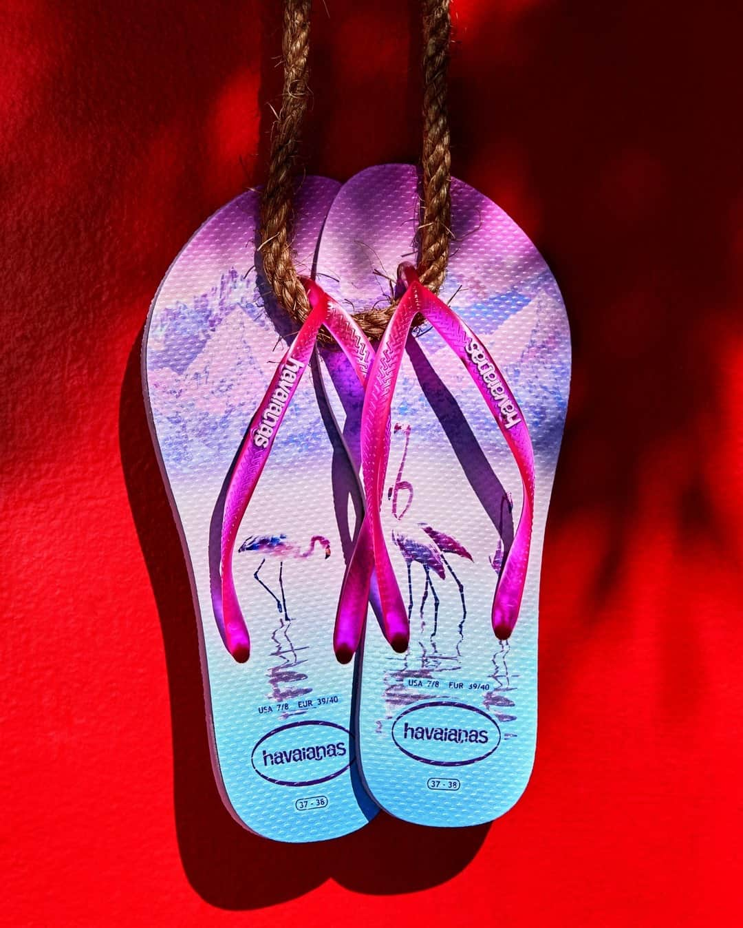 Havaianas Europeのインスタグラム：「💡 3 Things you didn't know about the Flamingo:⠀⠀⠀⠀⠀⠀⠀⠀ -The flamingo is the national bird of The Bahamas. ...⠀⠀⠀⠀⠀⠀⠀⠀⠀ -Flamingos are monogamous by nature, and only lay around one egg per year. -It takes flamingos about three years to get their pink and red feathers. #wednesdaywisdom」