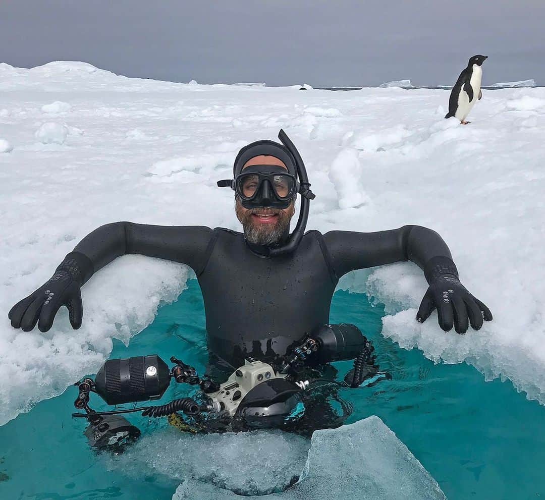 Thomas Peschakのインスタグラム：「Polar Opposites - Taking a short break from photography in Antartica (Pic 1) is a completely different experience than doing the same in the Kalahari desert (Pic 2). In Antartica I catch my breath and “chill” on the edge of a iceberg,  under the watchful gaze of Adelie penguins. In the Kalahari the silky soft sand is a welcome respite for my tired legs, I just have to be on guard for ticks and ants crawling up my pants. After a few months off instagram I am back online :-) I was preoccupied making new photographs on expeditions and assignments to Antarctica and the Kalahari. Two places that could not have been more polar opposites. Behind the scenes images by @ottowhitehead and @barry_peiser」