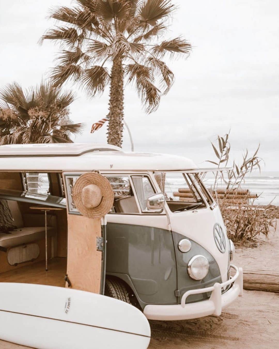 のインスタグラム：「𝐆𝐨𝐨𝐝 𝐧𝐢𝐠𝐡𝐭 🌓🌴🌴🇺🇲🌊」