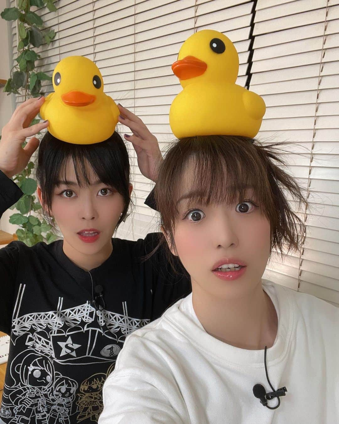 富田麻帆さんのインスタグラム写真 - (富田麻帆Instagram)「今日は #まほチャンネル でした！ ご視聴ありがとうございました♡ ゲストは安定のあいあい✨ 今日も最高の天然を見れて、癒されました！笑 どうやら【三冠麻帆】を狙うらしいです。 ↑三冠麻帆ってなんや？笑  カレンダー発売日も発表されましたよん！ もうすぐ発売！ 続報はまほチャンネルスタッフTwitterにて！！！  今日はレコーディング→稽古→まほチャンネルとめちゃくちゃ充実しまくった1日でした！  明日からは再びフィールを燃やしたいと思います♡  劇場で待ってますね😊✨」2月25日 1時41分 - maho_tomita6261