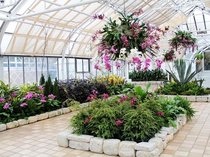 HGTVさんのインスタグラム写真 - (HGTVInstagram)「Take a virtual tour of @TravelChannel's favorite botanical gardens in the US. 😍⁠⁠ ⁠⁠ Cherry blossoms, vanilla orchids, cacti, and 3,000 exotic butterflies are just a few unique attractions featured at these gorgeous botanical gardens. 🌸 🌵 🦋 ⁠⁠ ⁠⁠ Have you visited any of these botanical gardens? 💐 Do you have another favorite botanical garden or arboretum? 🌿 Let us know down below ⬇️ and learn more about these locations at the link in our profile. ⬆️⁠⁠ ⁠⁠ 1) Missouri Botanical Garden, St. Louis - 📸  @mobotgarden⁠⁠ 2) Lewis Ginter Botanical Garden, Richmond - 📸 Don Williamson / @lewisginter⁠⁠ 3) Franklin Park Conservatory and Botanical Gardens, Columbus - 📸 @fpconservatory⁠⁠ 4) Desert Botanical Garden, Phoenix - 📸 @dbgphx⁠⁠ 5) ABQ BioPark Botanic Garden, Albuquerque - 📸 @abqbiopark⁠⁠ 6) United States Botanic Garden, Washington, DC - 📸 @usbotanicgarden⁠⁠ 7) San Francisco Botanical Garden, San Francisco - 📸 FarOutFlora, Flickr⁠⁠ 8) Atlanta Botanical Garden, Atlanta - 📸 Deborah Dimond⁠⁠ 9) New York Botanical Garden, New York City - 📸 Lorraine Boogich⁠⁠ 10) Fairchild Tropical Botanic Garden, Coral Gables - 📸 @fairchildgarden⁠⁠ ⁠⁠ #FreshStart #travelchannel #botanicalgarden #botanicalgarden #arboretum #flora」2月25日 2時03分 - hgtv