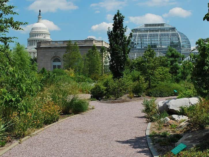 HGTVさんのインスタグラム写真 - (HGTVInstagram)「Take a virtual tour of @TravelChannel's favorite botanical gardens in the US. 😍⁠⁠ ⁠⁠ Cherry blossoms, vanilla orchids, cacti, and 3,000 exotic butterflies are just a few unique attractions featured at these gorgeous botanical gardens. 🌸 🌵 🦋 ⁠⁠ ⁠⁠ Have you visited any of these botanical gardens? 💐 Do you have another favorite botanical garden or arboretum? 🌿 Let us know down below ⬇️ and learn more about these locations at the link in our profile. ⬆️⁠⁠ ⁠⁠ 1) Missouri Botanical Garden, St. Louis - 📸  @mobotgarden⁠⁠ 2) Lewis Ginter Botanical Garden, Richmond - 📸 Don Williamson / @lewisginter⁠⁠ 3) Franklin Park Conservatory and Botanical Gardens, Columbus - 📸 @fpconservatory⁠⁠ 4) Desert Botanical Garden, Phoenix - 📸 @dbgphx⁠⁠ 5) ABQ BioPark Botanic Garden, Albuquerque - 📸 @abqbiopark⁠⁠ 6) United States Botanic Garden, Washington, DC - 📸 @usbotanicgarden⁠⁠ 7) San Francisco Botanical Garden, San Francisco - 📸 FarOutFlora, Flickr⁠⁠ 8) Atlanta Botanical Garden, Atlanta - 📸 Deborah Dimond⁠⁠ 9) New York Botanical Garden, New York City - 📸 Lorraine Boogich⁠⁠ 10) Fairchild Tropical Botanic Garden, Coral Gables - 📸 @fairchildgarden⁠⁠ ⁠⁠ #FreshStart #travelchannel #botanicalgarden #botanicalgarden #arboretum #flora」2月25日 2時03分 - hgtv