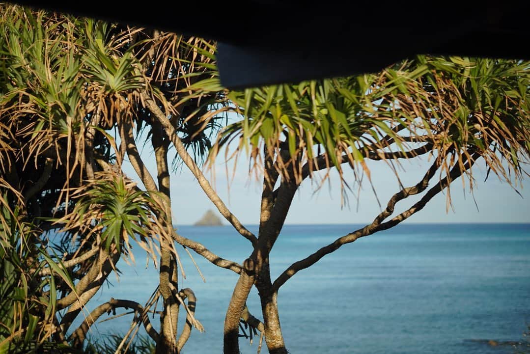 渡辺由布子さんのインスタグラム写真 - (渡辺由布子Instagram)「🏝  はじめての奄美大島。  マングローブ原生林、サンゴ礁の群生、エメラルドグリーンの海、満点の星空...  手つかずの大自然が残るこの島には、薩摩藩と琉球王国の影響を受けた独自の文化が、島の人々によって今もなお大切に受け継がれています。  島ならではの伝統文化や人の温かさに触れて、またすぐにでも再訪したいと強く思った5日間の旅。  #日本再発見 #避粉旅行  #避寒旅行  #ワーケーション  #TravelWriter #biztrip #surftrip  #japantrip  #island  #workation  #weekendgetaway  #DiscoverJapan  📍 #Amami (#奄美大島 ) #Kagoshima (#鹿児島 ) #🇯🇵」2月25日 14時07分 - watanabe_yuko