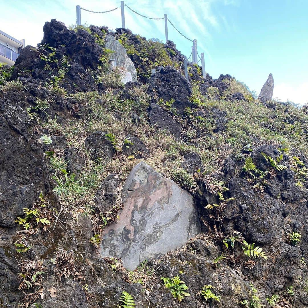 玉袋筋太郎さんのインスタグラム写真 - (玉袋筋太郎Instagram)「40年ぶり以上の登山！」2月25日 12時54分 - sunatamaradon