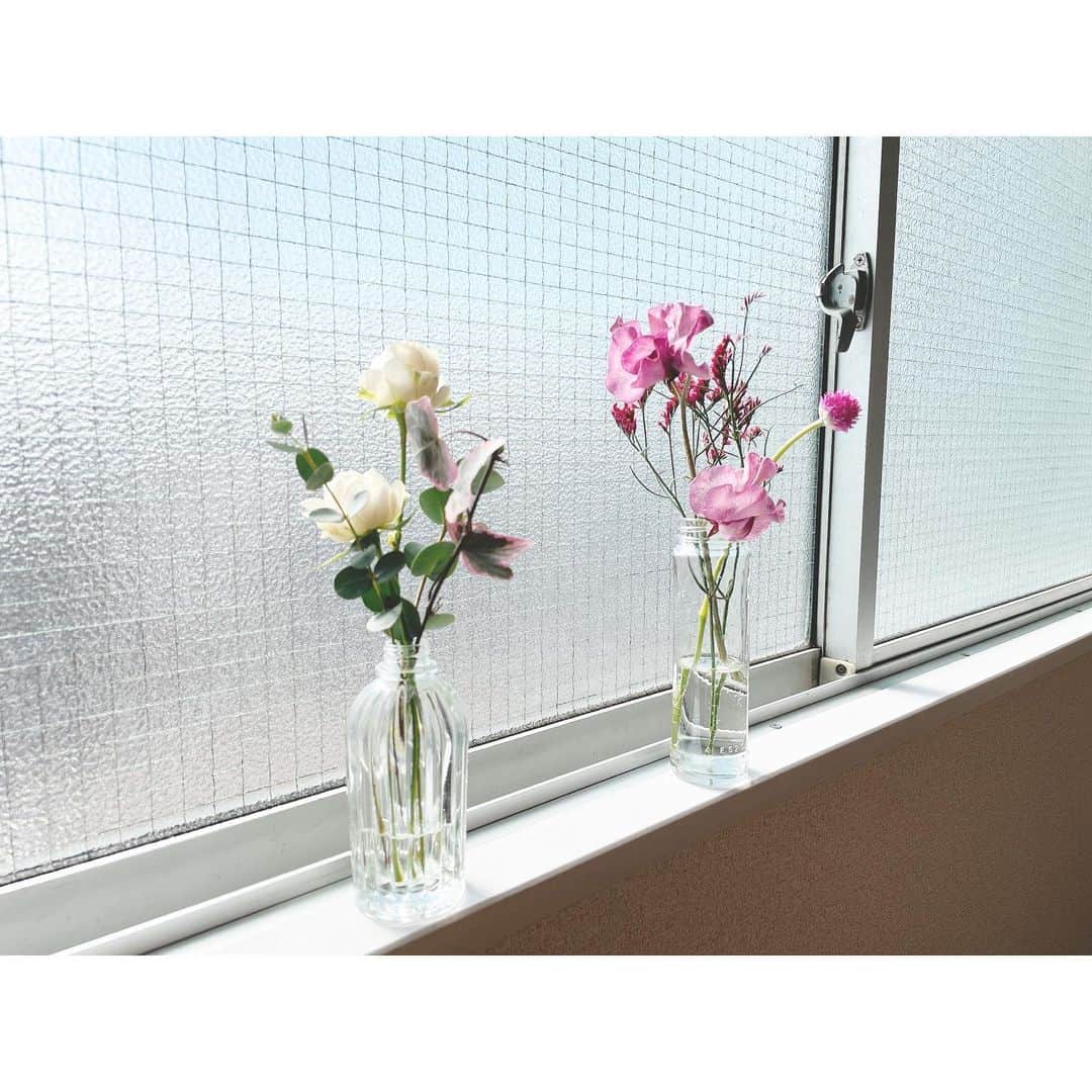 竹中友紀子のインスタグラム：「#おうちごと  今日の窓際  稽古合間の休日 久しぶりに好きな空間でのんびり過ごす幸せ さて、準備を始めますか これから友人を招いてあるモノを仕込みます^ ^」