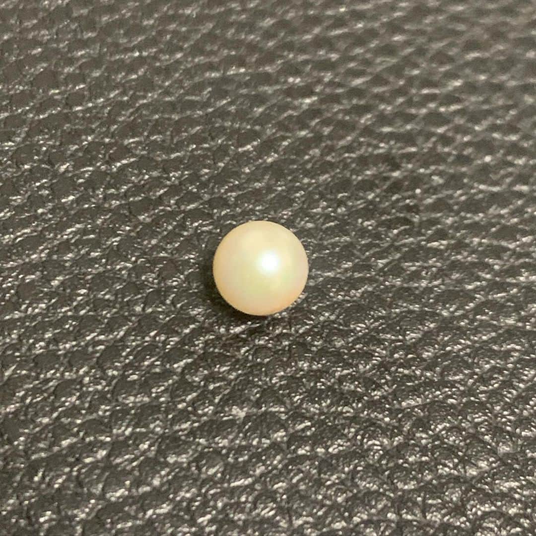 田中翔のインスタグラム：「アコヤガイの貝柱を食べるのが好きで貝柱買ったらこんなのも紛れ混んでた。 ただの核かもしれんけどこういうラッキーもあるんやな。 2枚目3枚目は高校の同級生が作った真珠！ #withpearl  #ウィズパール  #愛媛県 #愛媛 #宇和島市 #宇和島 #うわじまアンバサダー」