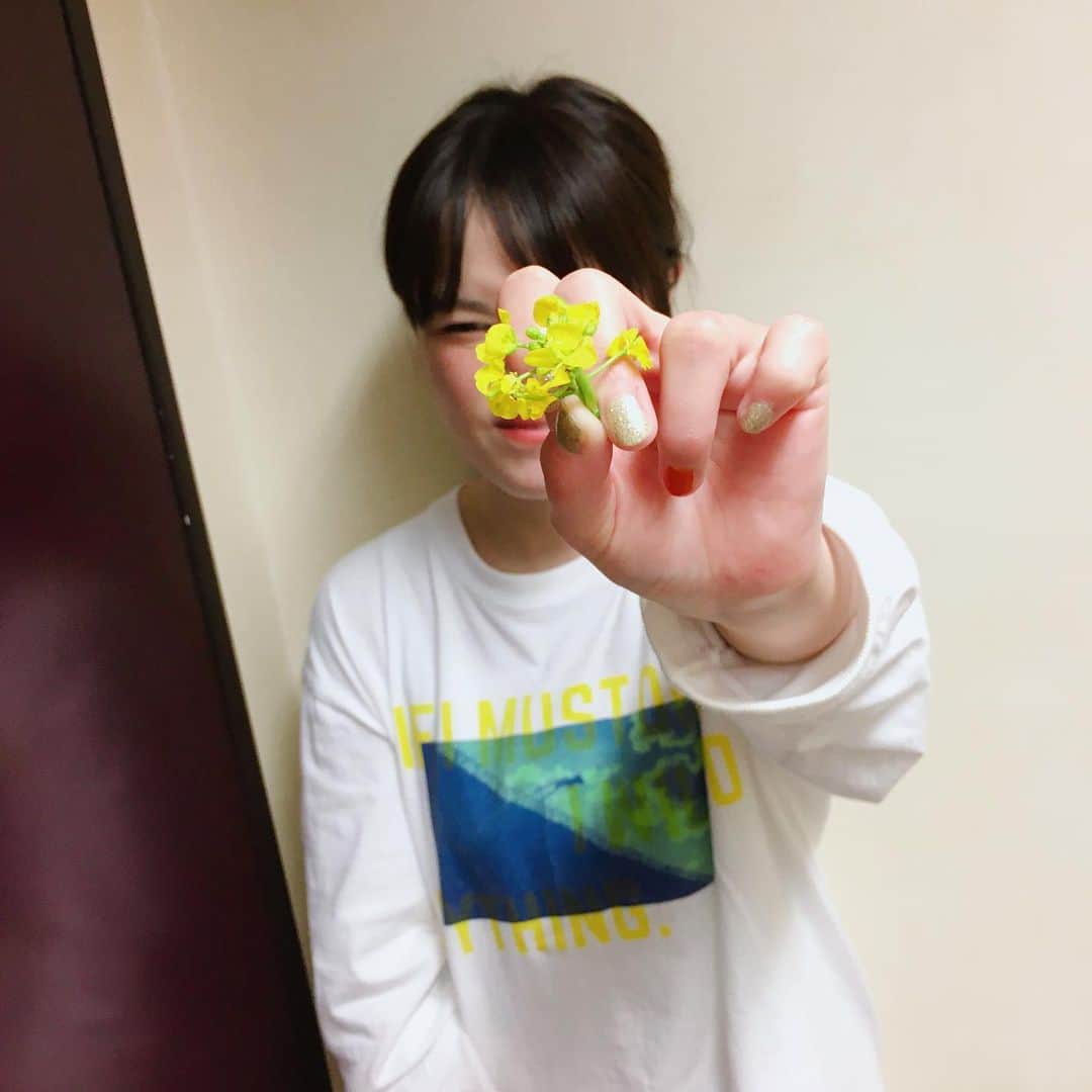 Nao☆ さんのインスタグラム写真 - (Nao☆ Instagram)「菜の花🌼」2月25日 13時18分 - nao_ngc