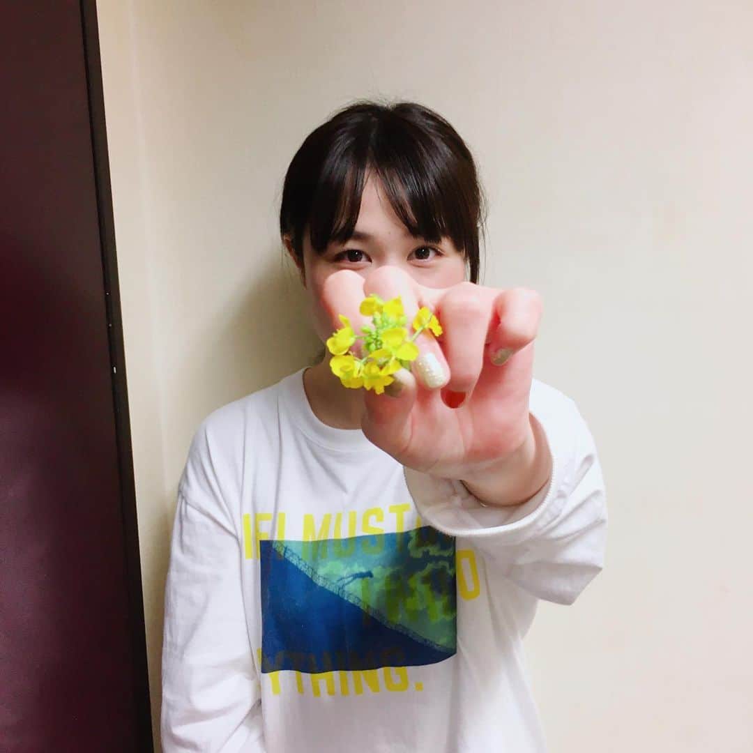 Nao☆ のインスタグラム：「菜の花🌼」