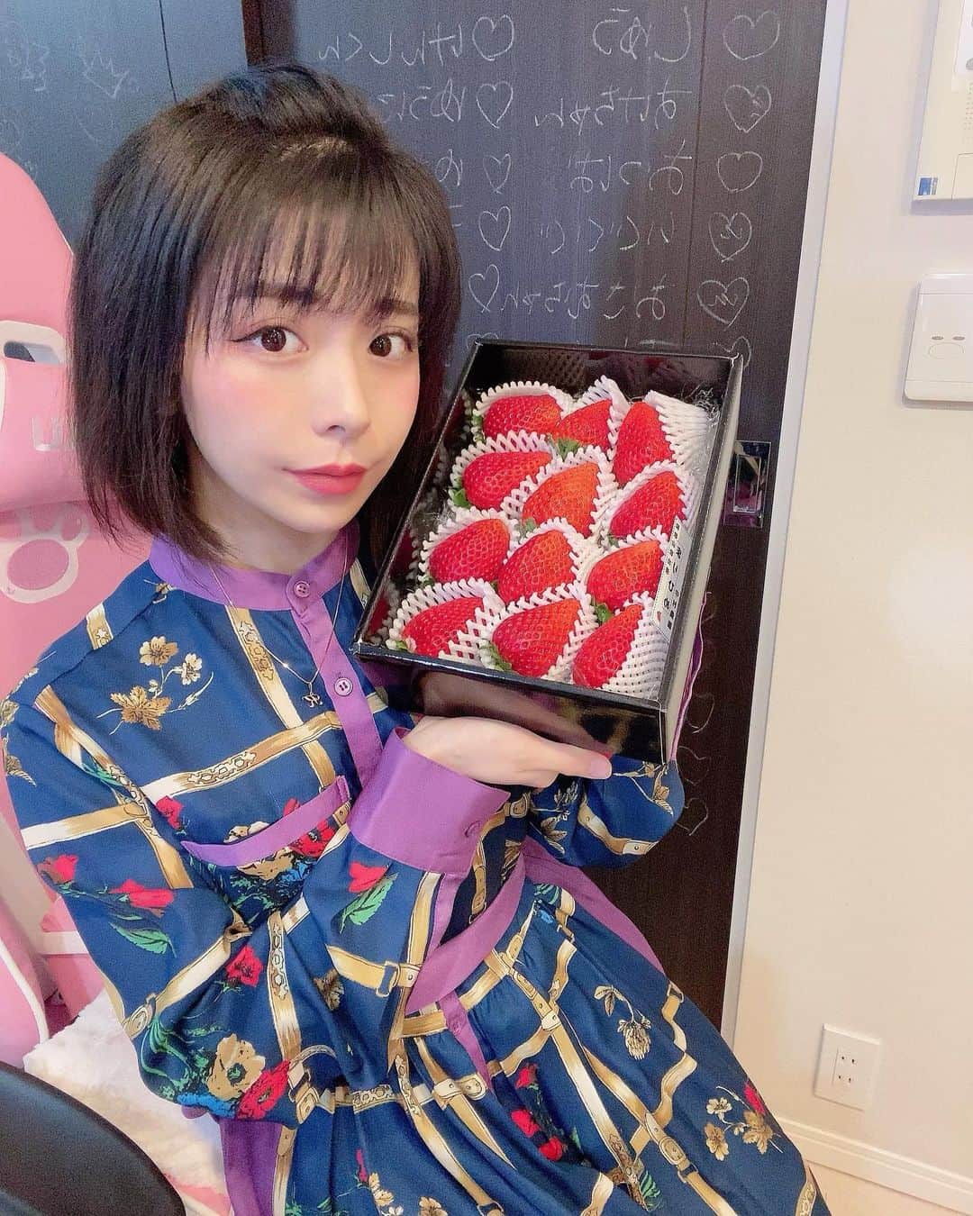 まんまるとまとのインスタグラム