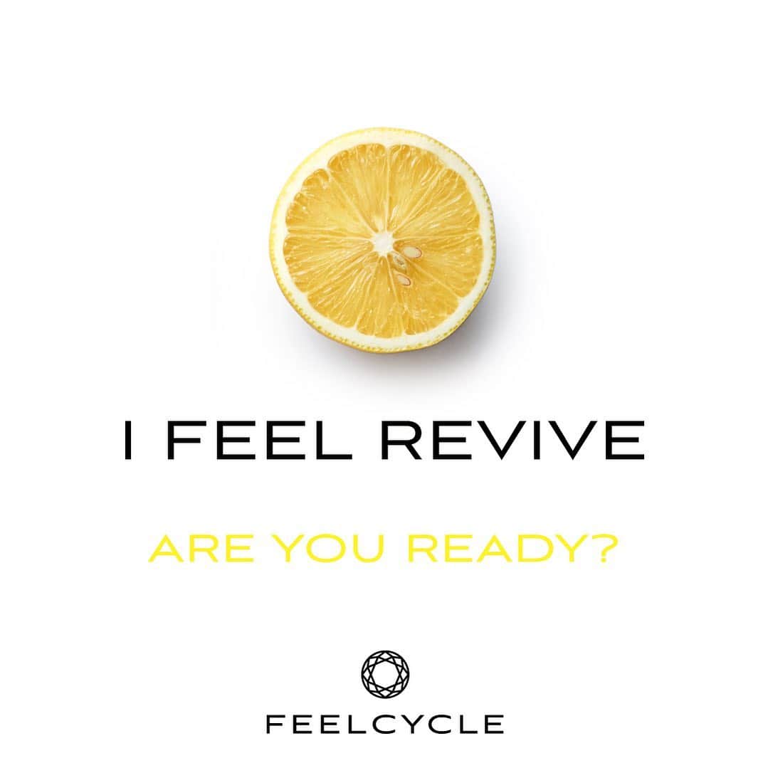 のインスタグラム：「. ◆Special Information◆ . 待望のFEELCYCLEオリジナル・ナチュラルプロテイン 2/25(Thu)より順次店頭で発売！ . 「体の内側から、もっと輝きを」のコンセプトから誕生したFEELCYCLEオリジナル・ナチュラルプロテイン。 . FEEL REVIVEは良質なタンパク質と同時に美容や健康に効果のある栄養素を効率的に補給。 . 詳しくは特設サイトをCheck! . 輝く日々の習慣、今日から始めよう。 . Let your life be more brilliant. . #45分で約800kcal消費 #滝汗 #ダイエット #デトックス #美肌 #美脚 #腹筋 #ストレス解消 #リラックス #集中 #マインドフルネス #feelcycle #フィールサイクル #暗闇フィットネス #バイクエクササイズ #フィットネス #ジム #音楽とひとつになる #プロテイン #ナチュラルプロテイン #feelrevive #protein #naturalprotein」