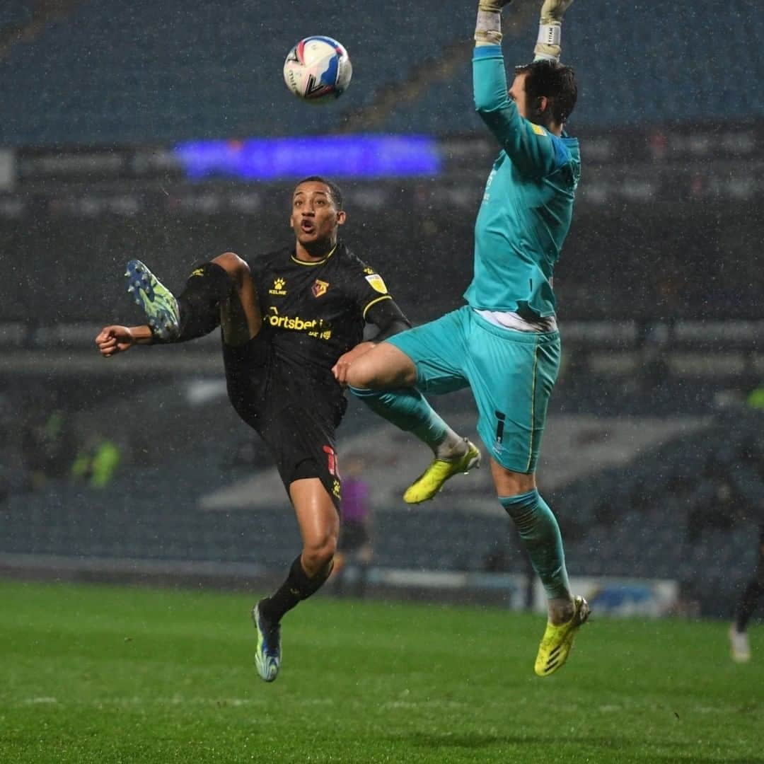 ワトフォードFCさんのインスタグラム写真 - (ワトフォードFCInstagram)「A perfectly weighted lob from @joaaopedro.oficial! 🇧🇷  Our No.10 gives us the lead at Ewood Park! ⚽️」2月25日 5時15分 - watfordfcofficial