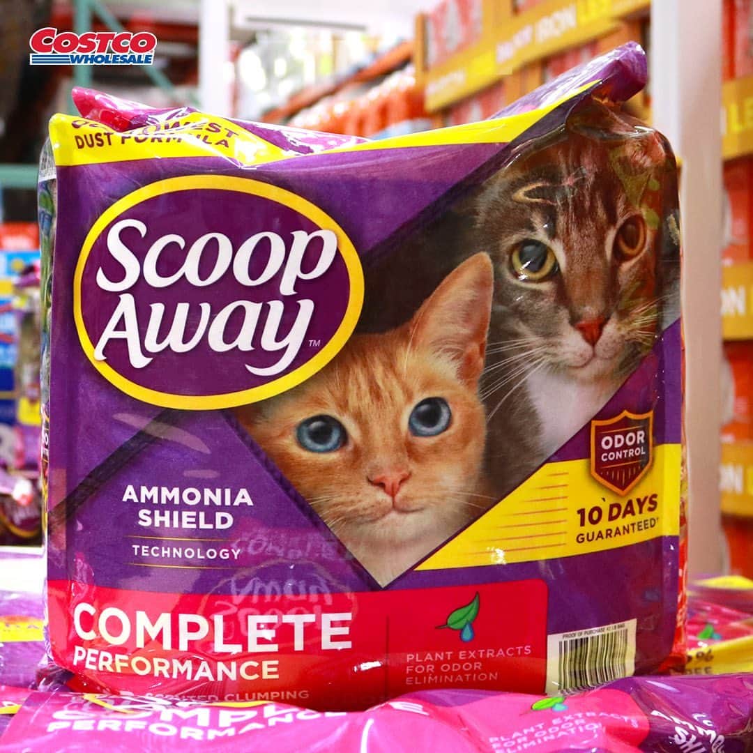 Costcoさんのインスタグラム写真 - (CostcoInstagram)「Litter box maintenance made easy. 🐾 Save $3.30 on this #CostcoFind through 2/28/21.  Available in-warehouse and at Costco.com: Scoop Away Cat Litter」2月25日 6時00分 - costco