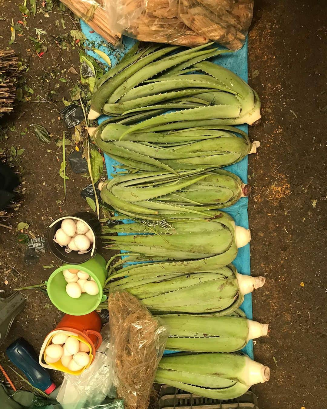 トームさんのインスタグラム写真 - (トームInstagram)「Natural beauty and other stories at the Mercado Brujeria WITCHES MARKET #MercadoSonora #MexicoCity」2月25日 6時53分 - tomenyc