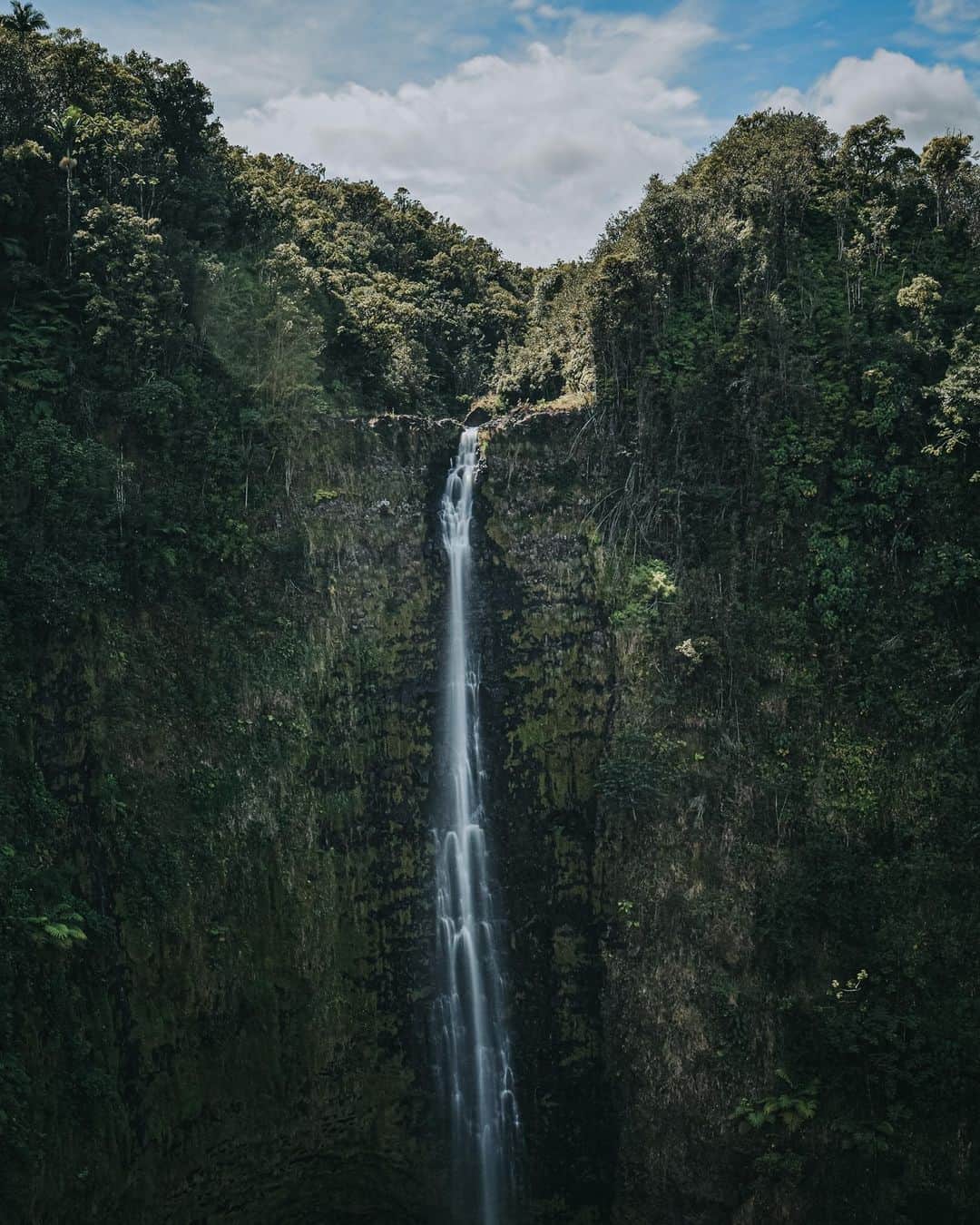ハワイアン航空さんのインスタグラム写真 - (ハワイアン航空Instagram)「When it's rainy season, we not only delight in rainbows decorating our sky, but we also enjoy the sight of our magnificent waterfalls cascading down the mountains! 😍   📷 @cedricmcbane」2月25日 7時30分 - hawaiianairlines