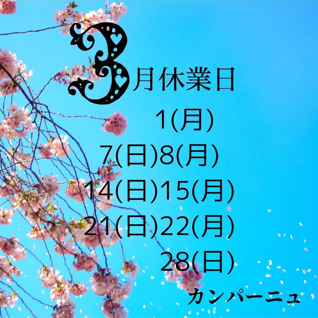 魔女菅原のインスタグラム：「🌟3月営業カレンダー🌟 日・月定休日です。 よろしくお願いいたします。 #盛岡　#パン屋　盛岡市上田　#盛岡パン　#盛岡パン屋　#自家製天然酵母のパン屋さんカンパーニュ  #魔女菅原」