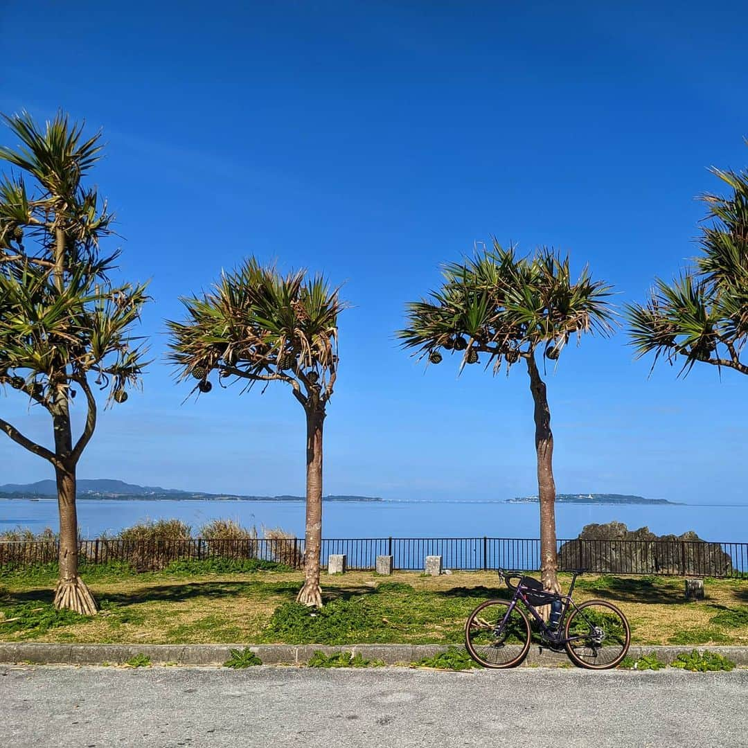 山下晃和さんのインスタグラム写真 - (山下晃和Instagram)「【BIKE&CAMP】This is Japan.  This is Color of Okinawa.  #bikeandcamp #自転車キャンプツーリング #自転車キャンプ #bikecamping #バイクパッキング #bike #touring #bikepacking #飛行機輪行 #輪行 #旅 #travel #CAMP #キャンプ #KEEN #Okinawa #グラベルロード #GRAVEL #自転車 #bicycle #旅自転車 #自転車旅 #旅サイクリスト @cannondalejapan @ridecannondale @restrap @knog.jp  #ridetopstone #topstone #自転車旅の学校」2月25日 8時14分 - travel_akikazoo