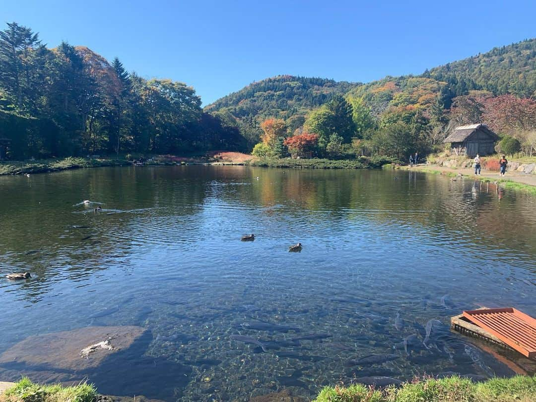 春日萌花のインスタグラム