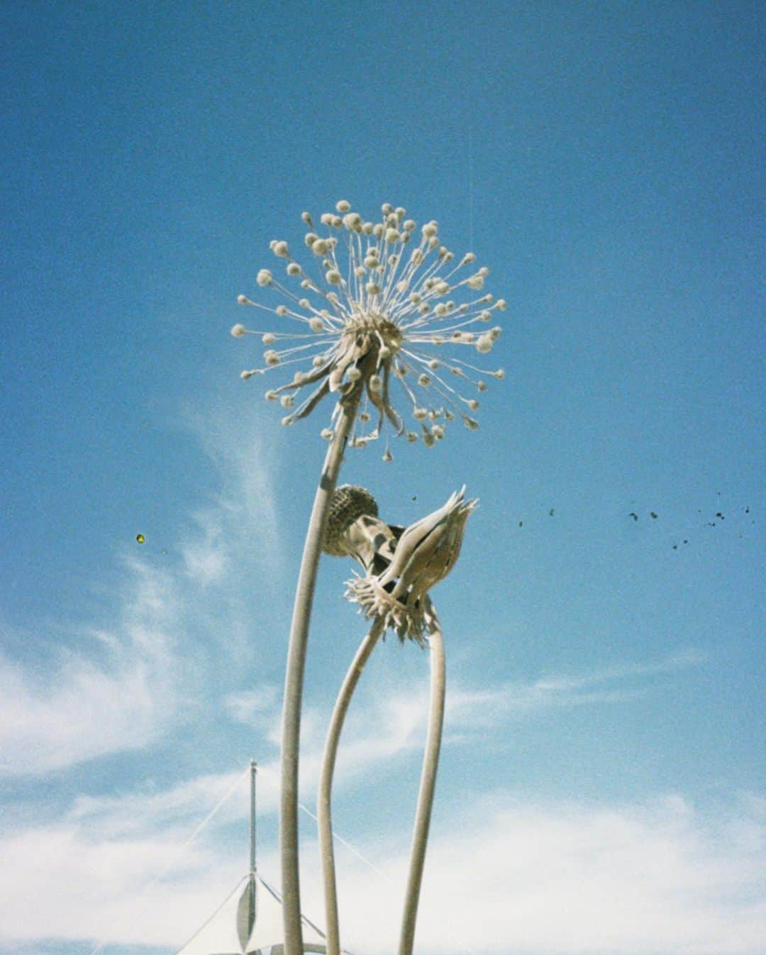 Jenn Imさんのインスタグラム写真 - (Jenn ImInstagram)「I've hoarded a few disposable cameras for YEARS and only got around to developing them today. I was floored when I saw these photos of a 22 year old me at Burning Man 2012. I was quite directionless at the time, but my experience at the Playa was a transformative one. It was the beginning of my journey to an inner confidence that would bloom into what it is today. ❣️」2月25日 8時46分 - imjennim