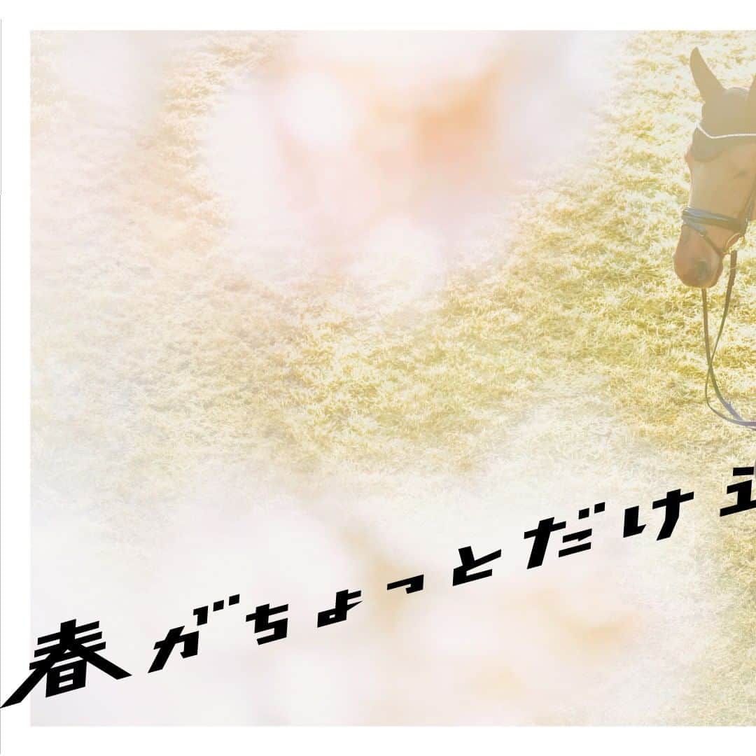 ルミネ公式のインスタグラム：「春がちょっとだけ遠いなら、わたしから迎えにゆく。  ===== LUMINE 2021 SPRING ANOTHER STORY～私たちの#春を迎えに web限定で公開中 =====」