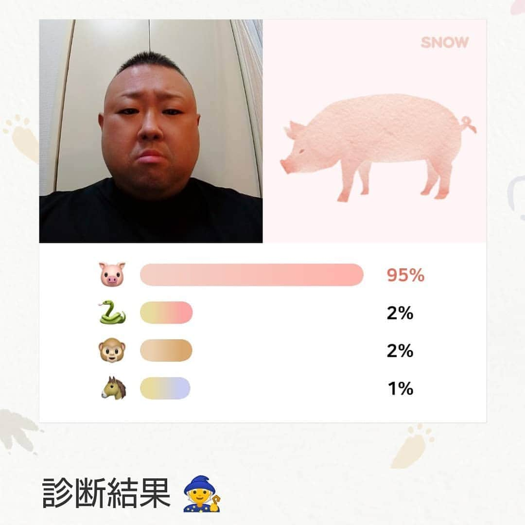 脇知弘さんのインスタグラム写真 - (脇知弘Instagram)「SNOW の動物診断をやってみた😅  色んな顔をして５０回くらい撮ってみたけど全部こぶた😅  すると娘ちゃんが 「そりゃそうやろ、トトは豚か牛か熊しか考えられへんもん」  まぁなぁ～😅 「でもトトはゴリラがいいねん」  「ゴリラはもっとトレーニングせなあか～ん！」  と、一喝されました😅  はーい😅  #脇知弘  #SNOW  #動物診断  #こぶた  #５０回くらい撮っても  #娘ちゃん  #色んな顔  #熊  #牛  #ゴリラ」2月25日 11時29分 - t_waki_at
