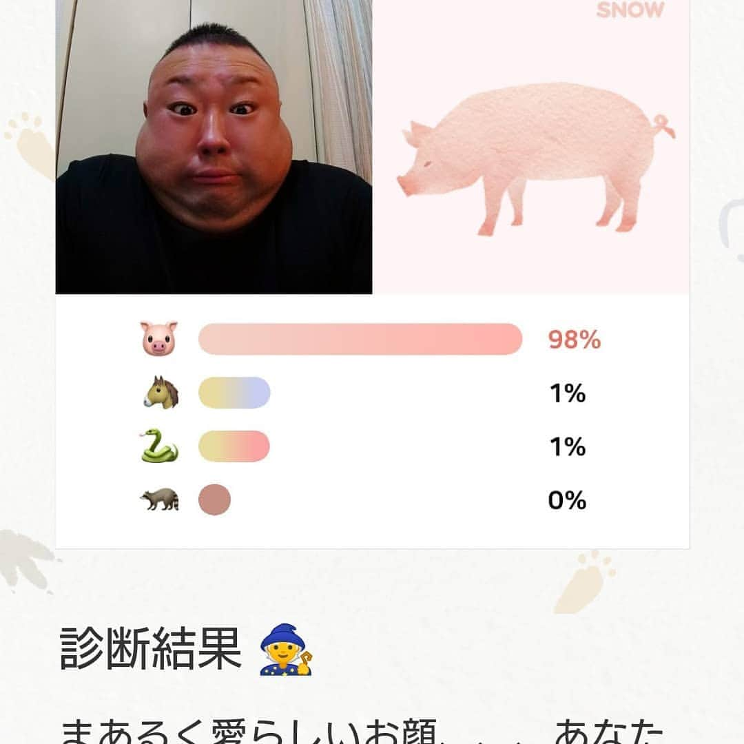 脇知弘さんのインスタグラム写真 - (脇知弘Instagram)「SNOW の動物診断をやってみた😅  色んな顔をして５０回くらい撮ってみたけど全部こぶた😅  すると娘ちゃんが 「そりゃそうやろ、トトは豚か牛か熊しか考えられへんもん」  まぁなぁ～😅 「でもトトはゴリラがいいねん」  「ゴリラはもっとトレーニングせなあか～ん！」  と、一喝されました😅  はーい😅  #脇知弘  #SNOW  #動物診断  #こぶた  #５０回くらい撮っても  #娘ちゃん  #色んな顔  #熊  #牛  #ゴリラ」2月25日 11時29分 - t_waki_at