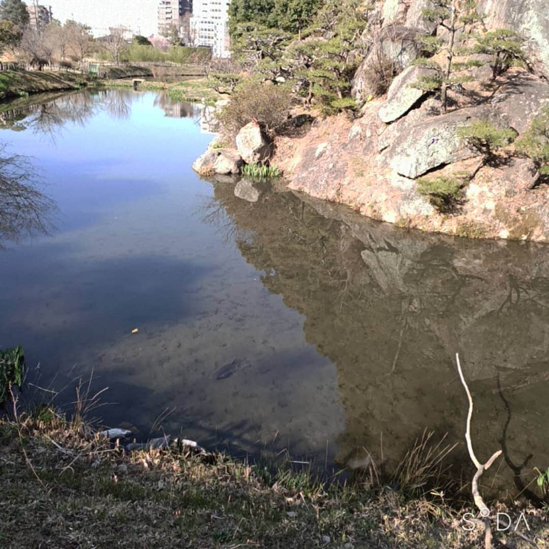 松本隆博のインスタグラム：「。 それでもこいは…こい～♪  (^_^)」